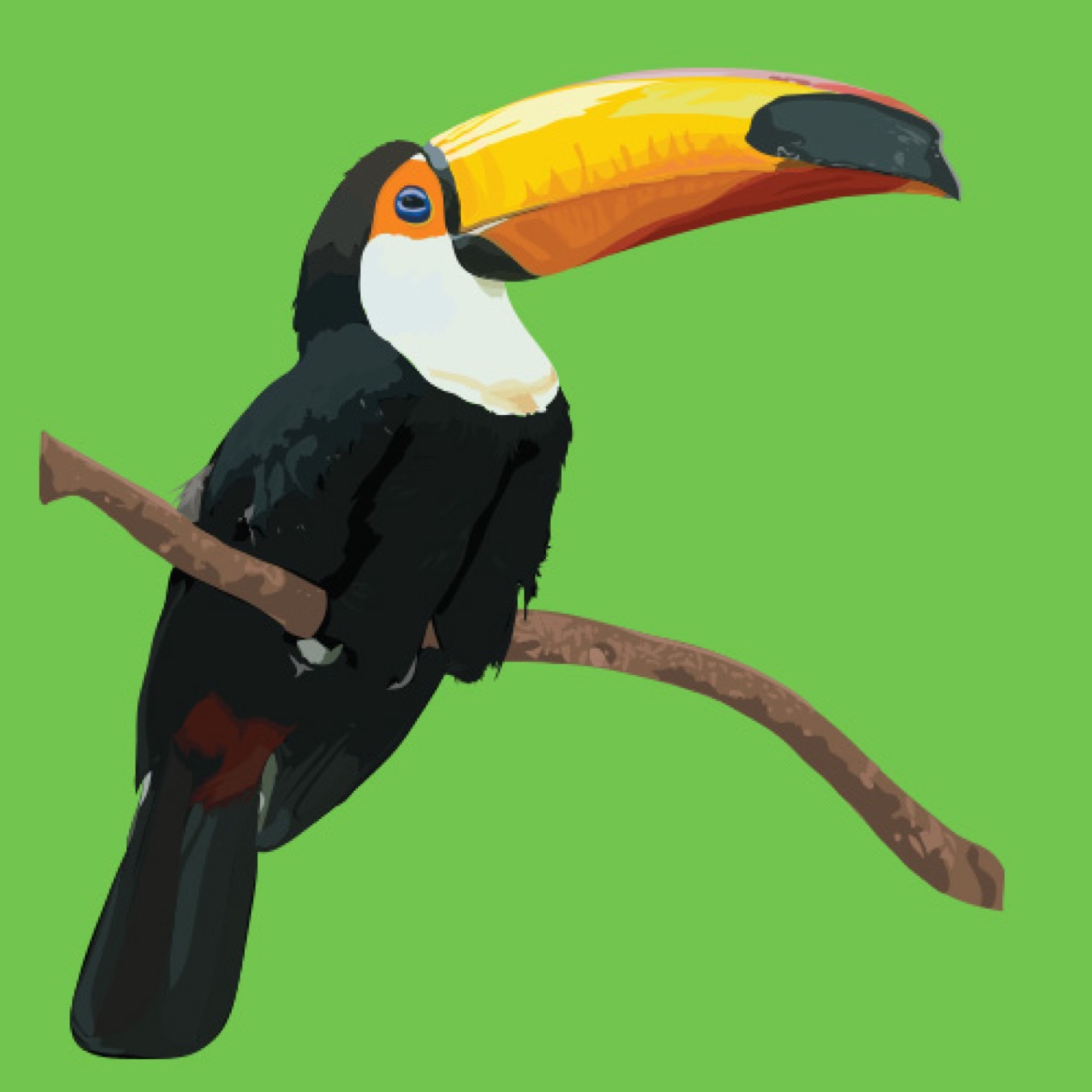 Toucan_Green